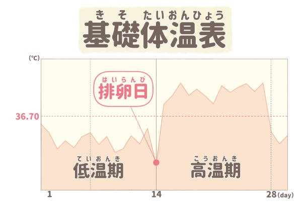Các lớp đào tạo tại Vjlink
