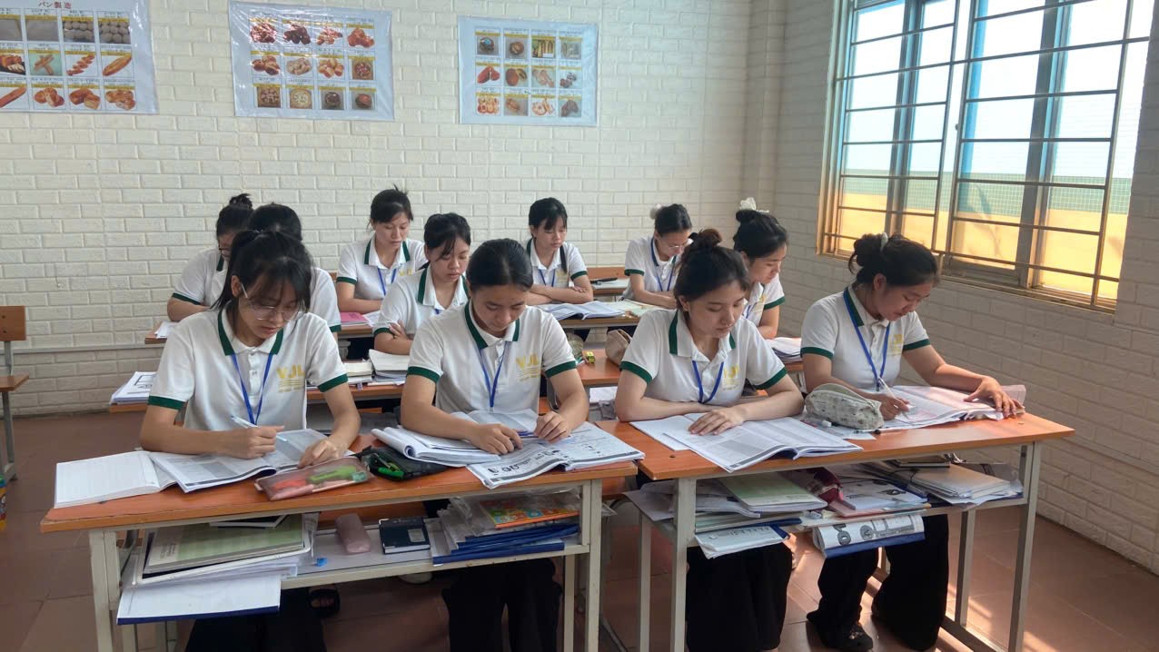 Hoạt động đào tạo tại VJLINK